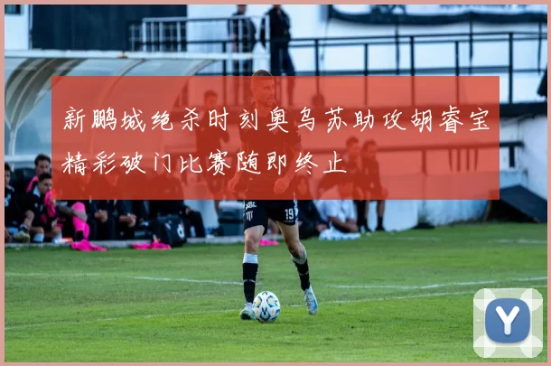 新鹏城绝杀时刻奥乌苏助攻胡睿宝精彩破门比赛随即终止