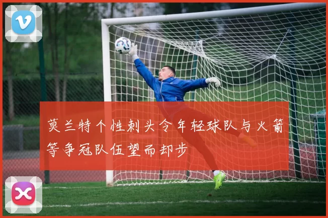 莫兰特个性刺头令年轻球队与火箭等争冠队伍望而却步